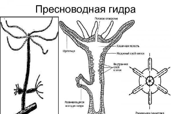 На сайте кракен пропал пользователь