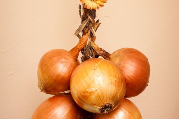 Kraken onion зеркало