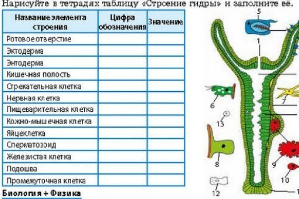 Кракен пользователь не найден